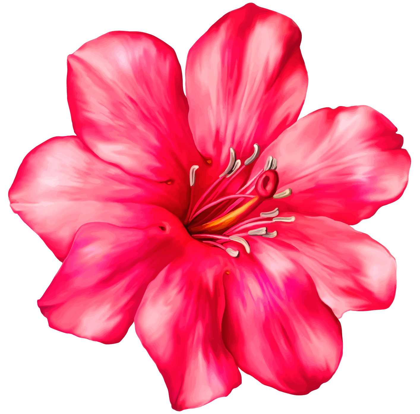 Blume